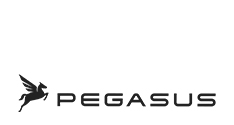 Pegasus