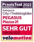 Preview: Pegasus Piazza 21 velomotion Siegel