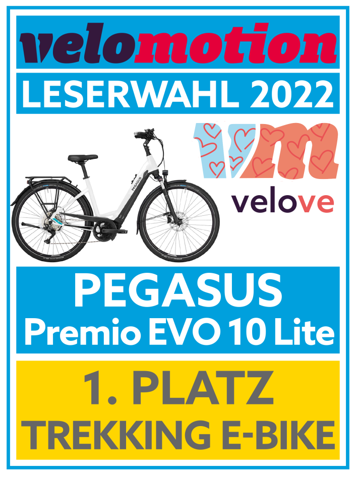 Pegasus Premio EVO 10 Lite Herren grau - Leserwahl