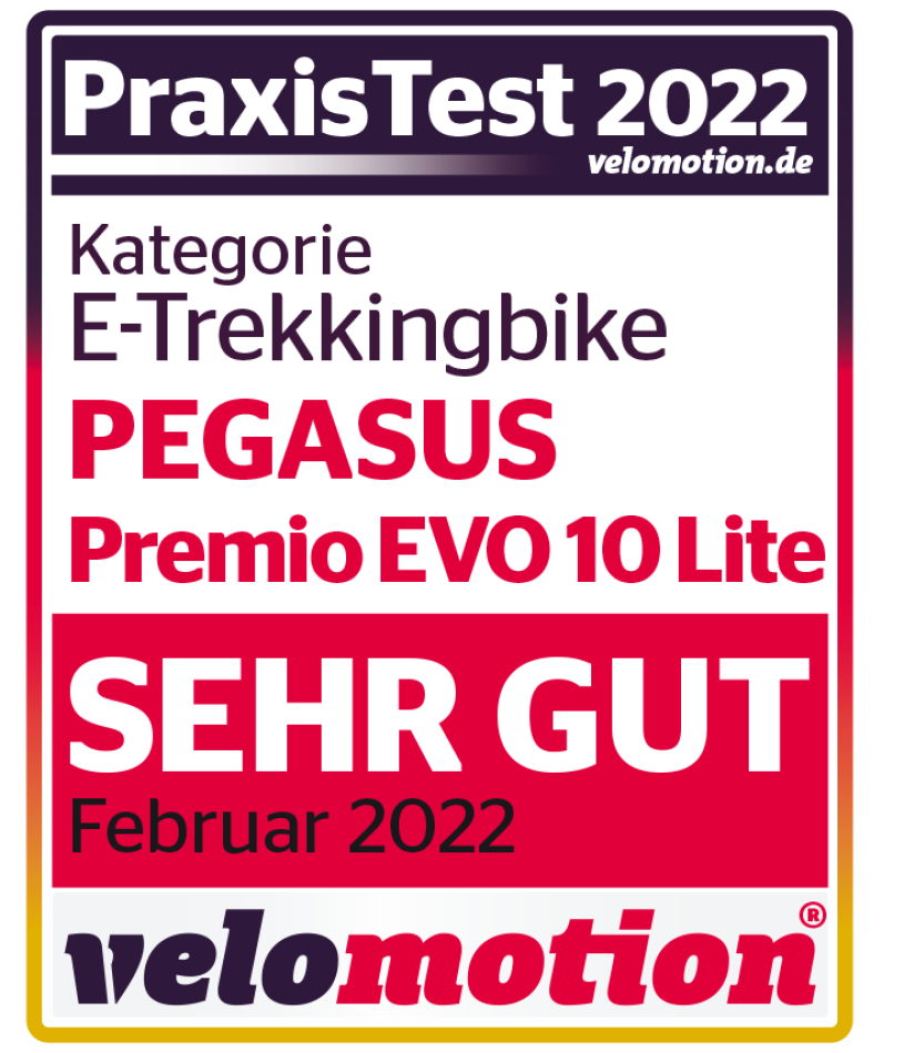 Pegasus Premio EVO 10 Lite Herren grau - Praxistest