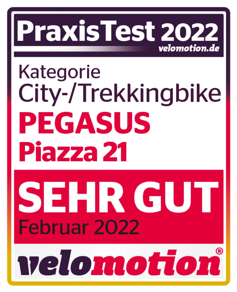 Pegasus Piazza 21 velomotion Siegel