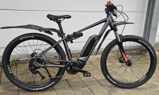 Bulls LT CX | 400WH | 41 cm