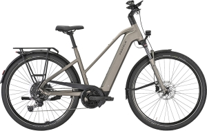 Pegasus Premio Evo 10 Lite unisex 600 WH . 2025