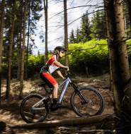 Mobile Preview: KTM Macina Lycan 772 Glorious - 2022 Image 1